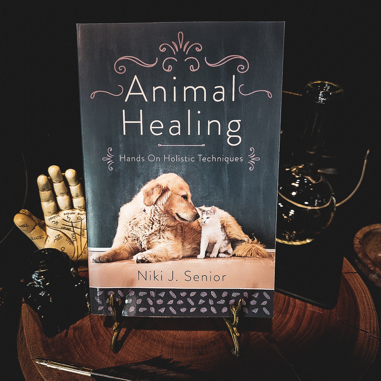 Animal Healing