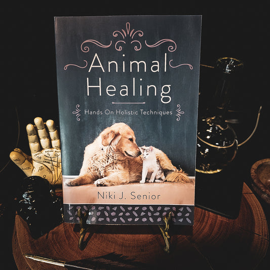 Animal Healing