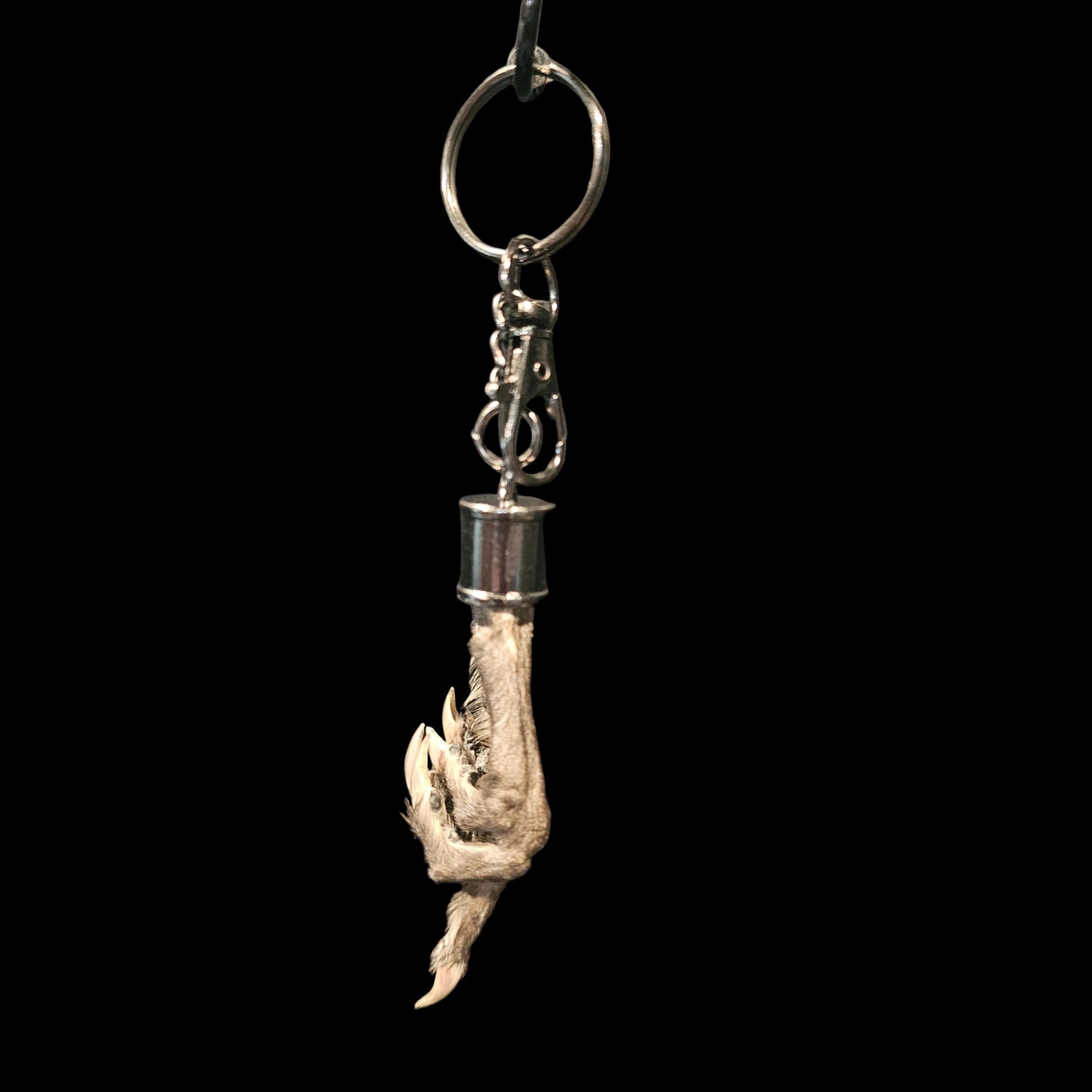 Taxidermy Keychain