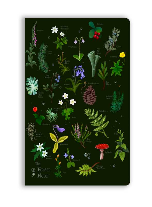 The Forest Floor (Soft Touch Journal)