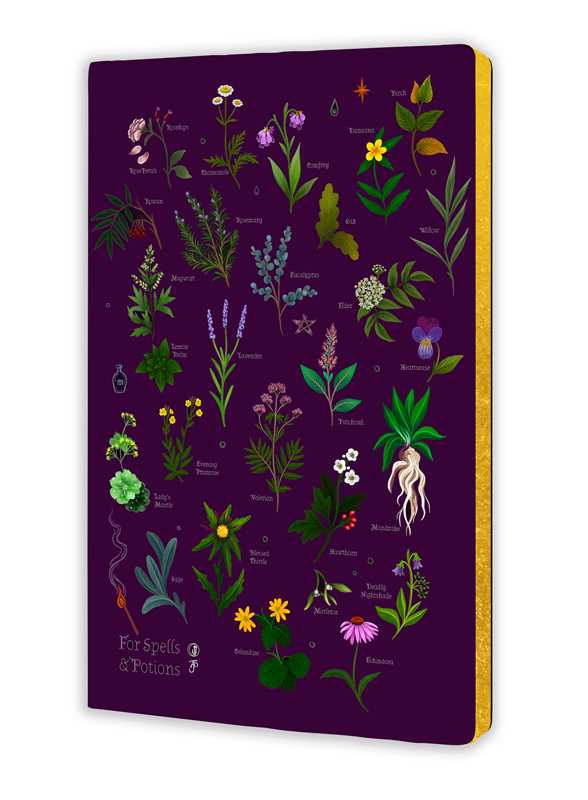 For Spells & Potions (Soft Touch Journal)