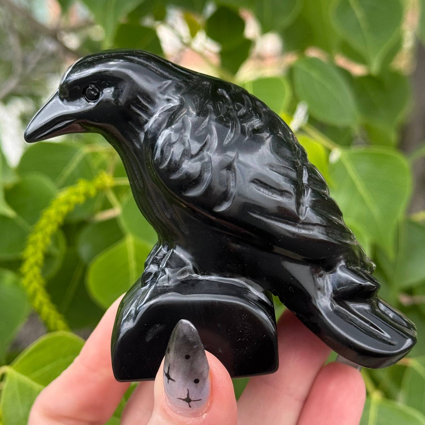 Obsidian Crow 