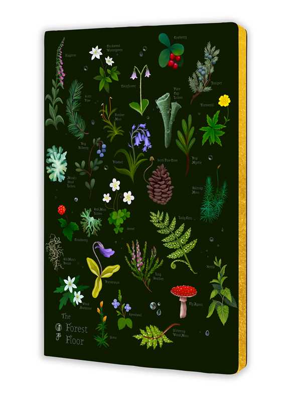 The Forest Floor (Soft Touch Journal)