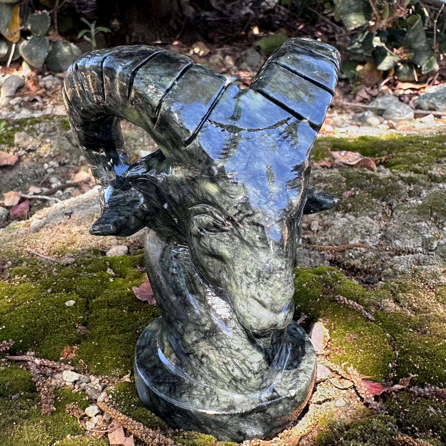 Dark Serpentine Ram Bust
