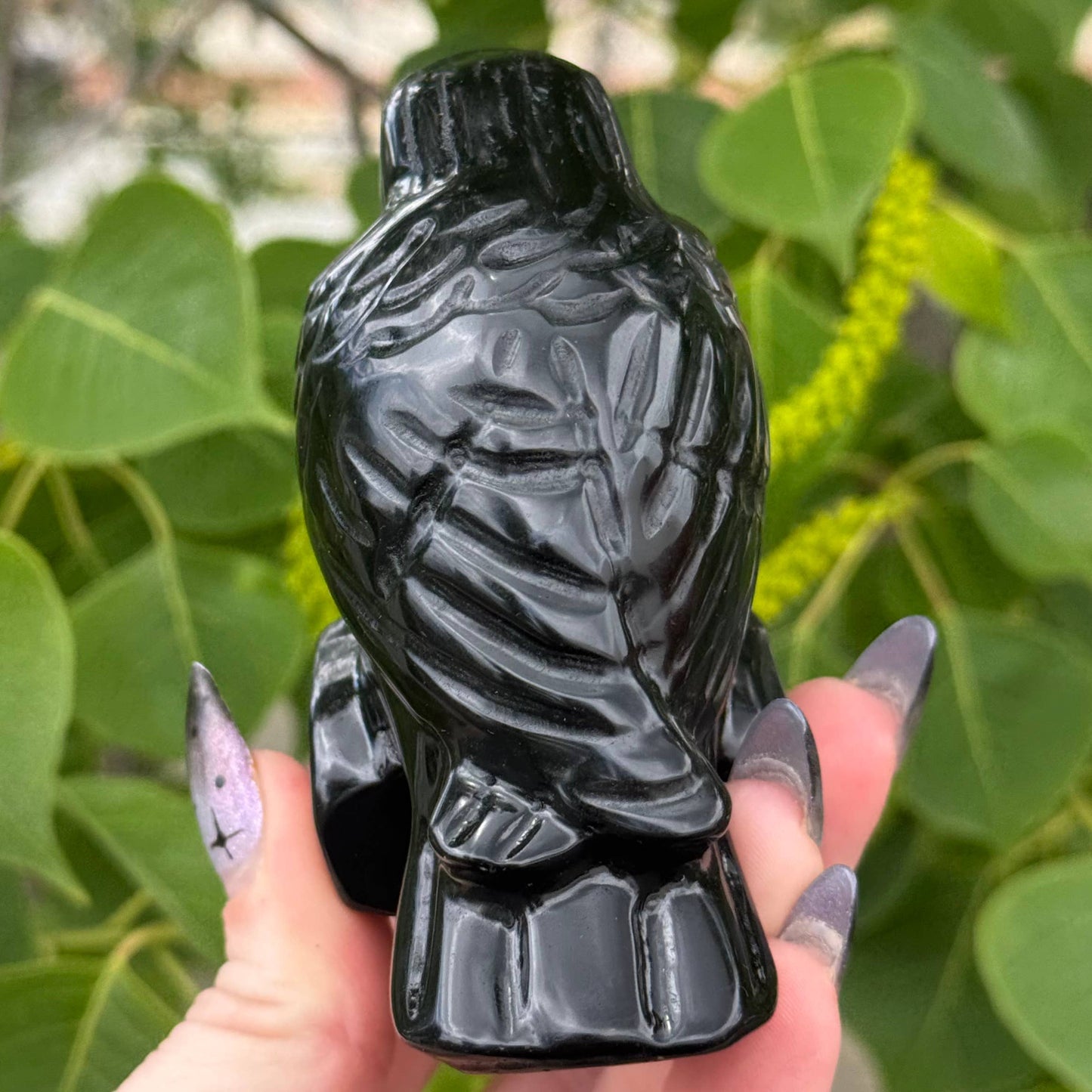 Obsidian Crow 
