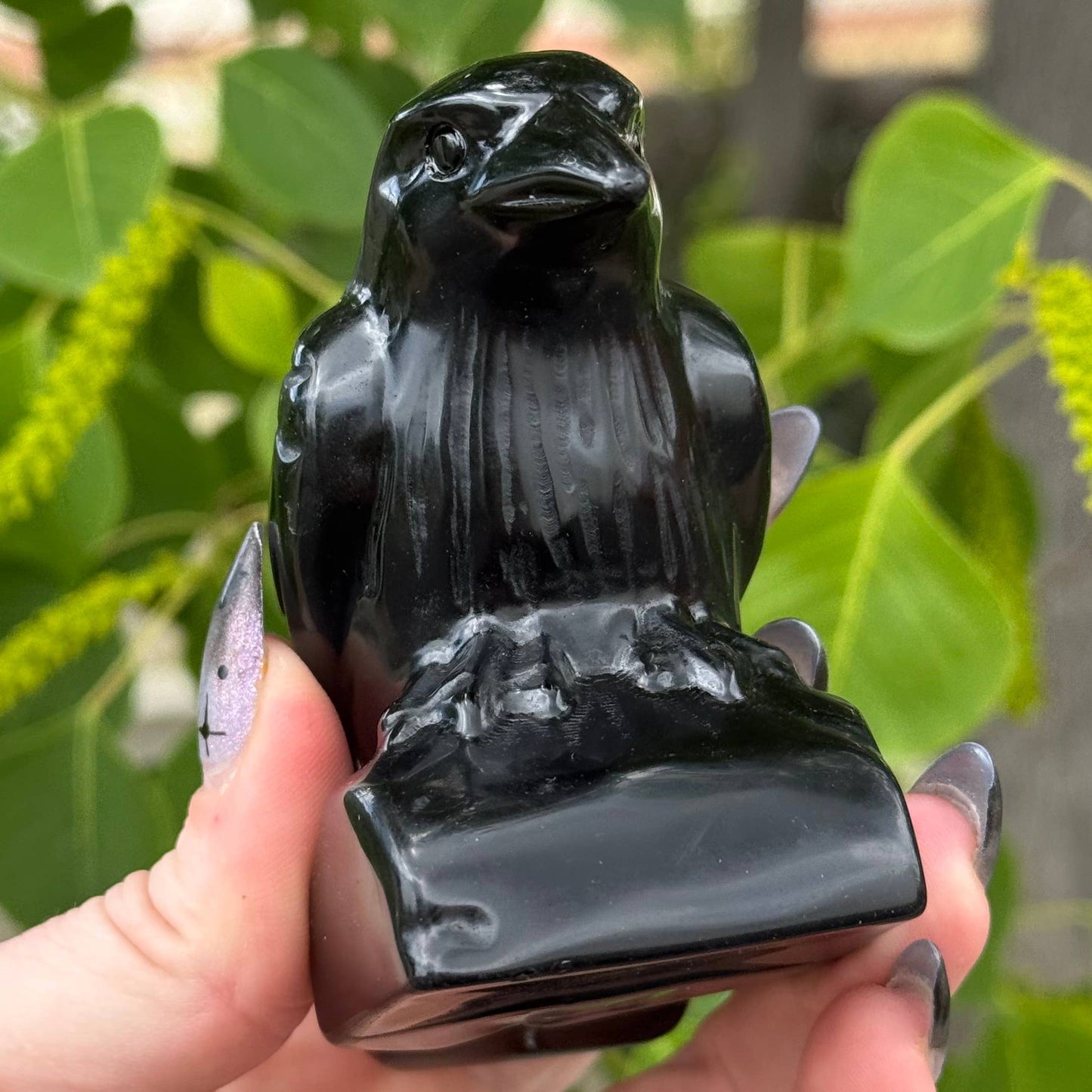 Obsidian Crow 