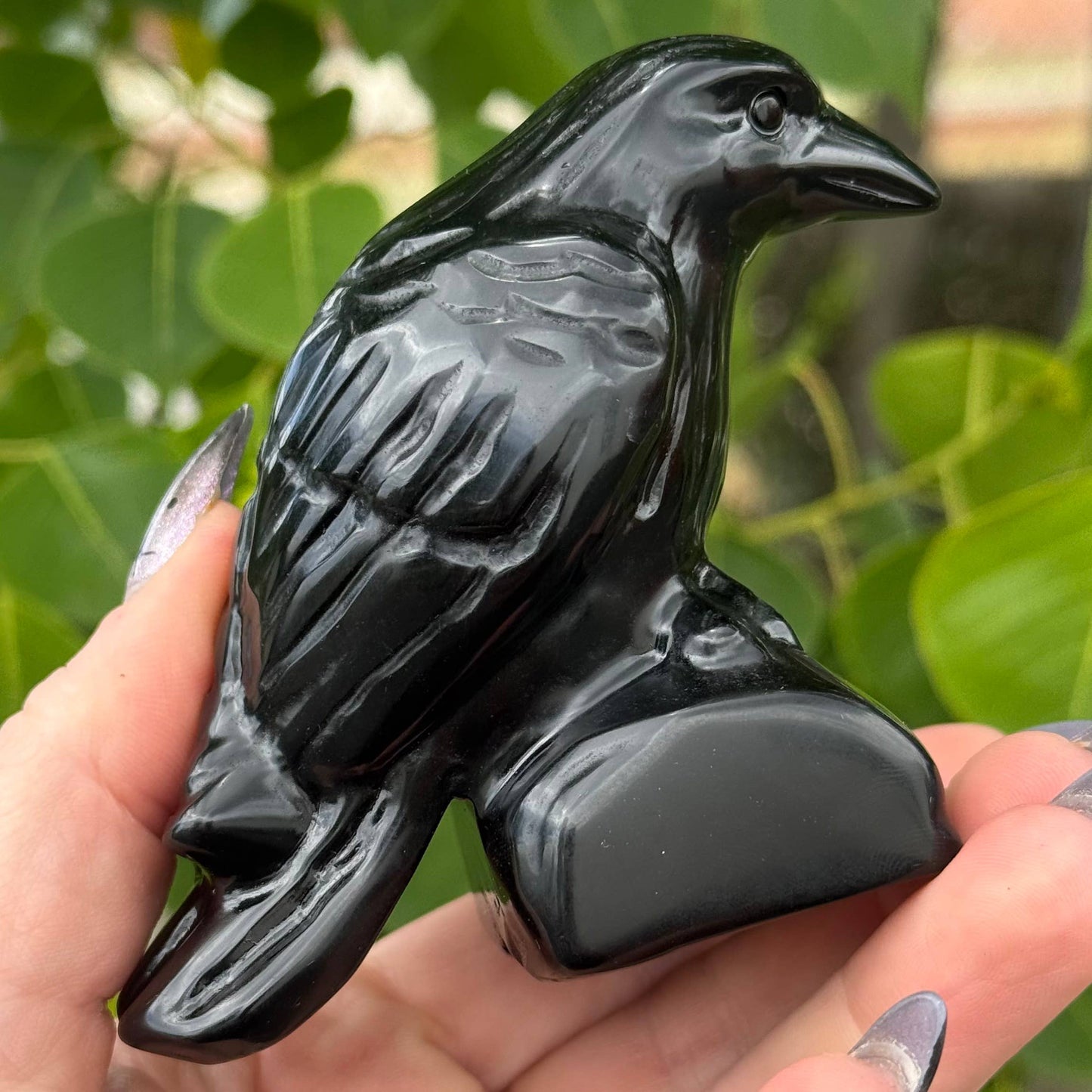 Obsidian Crow 