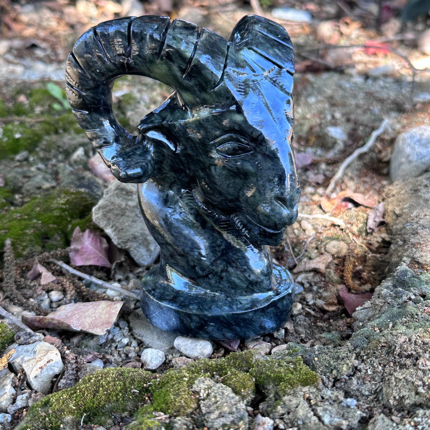 Dark Serpentine Ram Bust