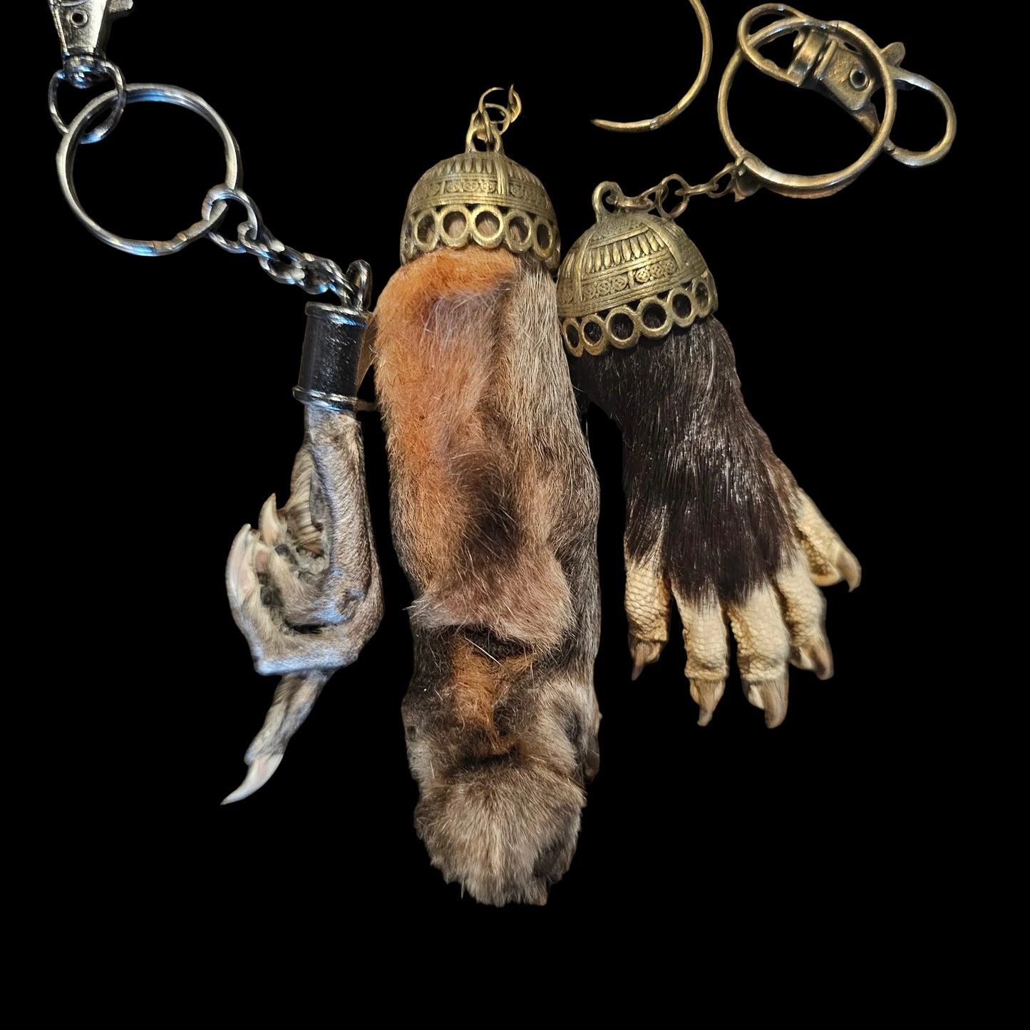 Taxidermy Keychain