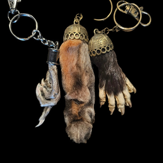 Taxidermy Keychain