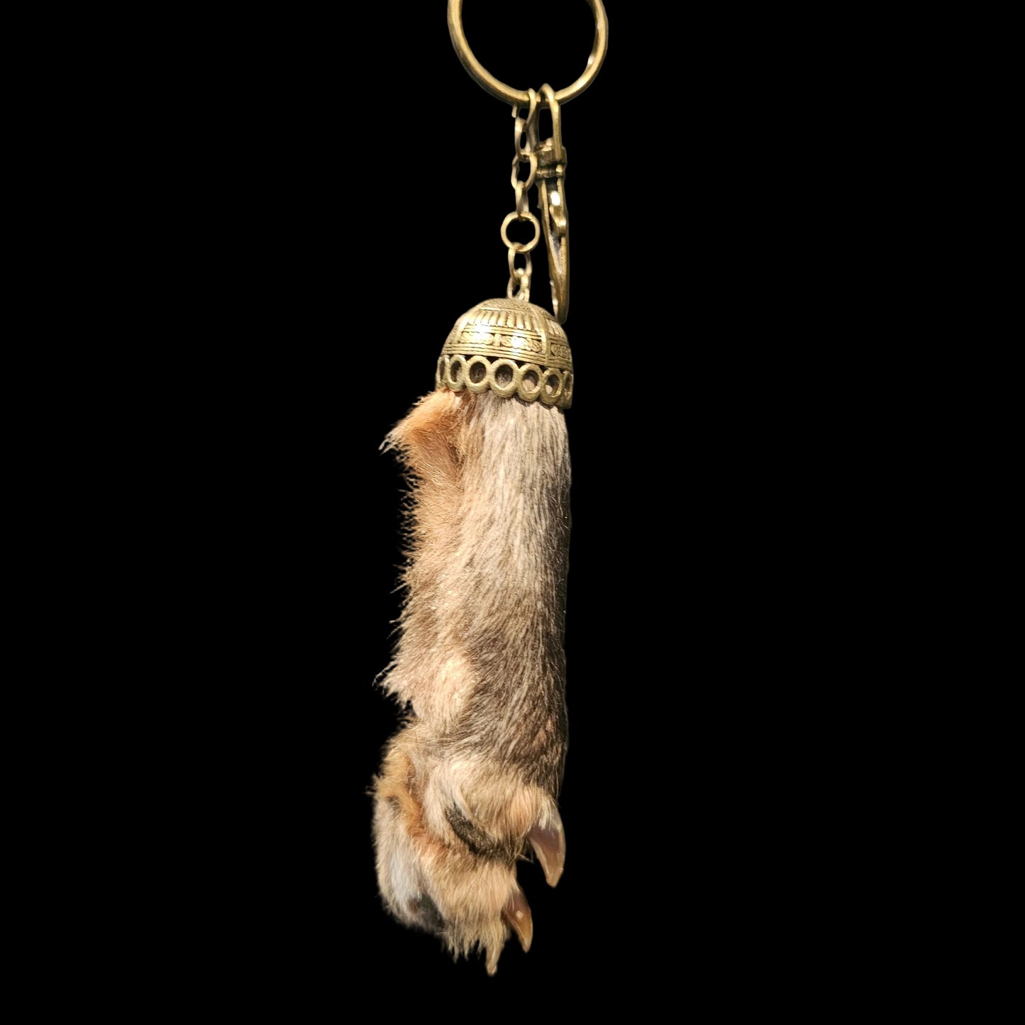 Taxidermy Keychain