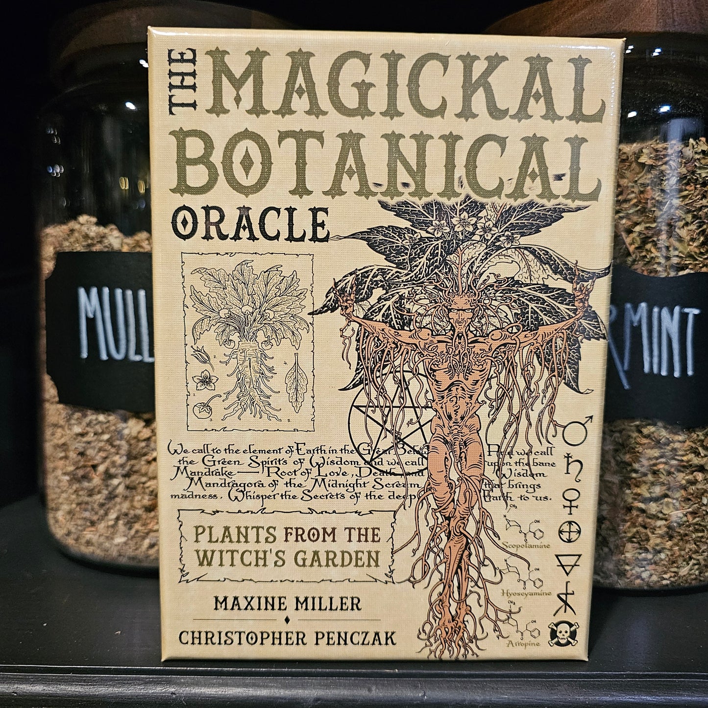 The Magickal Botanical Oracle